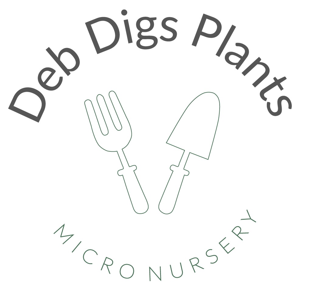 Deb Digs Plants